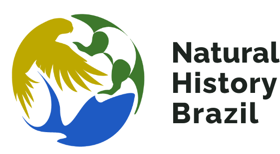 Natural History Brazil